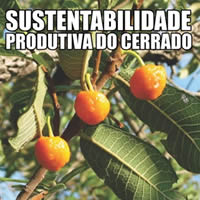 Livro: Sustentabilidade Produtiva do Cerrado