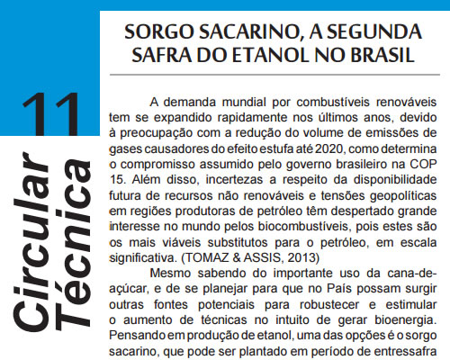 Sorgo Sacarino, a Segunda Safra do Etanol no Brasil