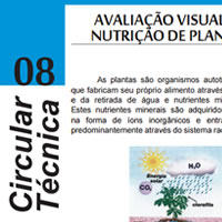 Avaliação Visual de Nutrição de Plantas