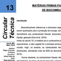 Matérias Primas Para Produção de Biocombustíveis