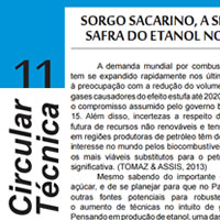 Sorgo Sacarino, a Segunda Safra do Etanol no Brasil