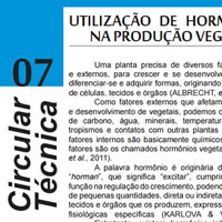 Utilização de Hormônios na Produção Vegetal