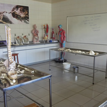 Laboratório de Anatomia