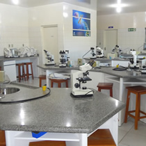 Laboratório de Biologia Geral