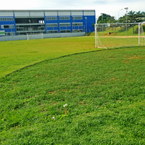 Pista de Atletismo e Campo de Futebol