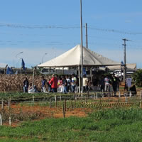 Encontro de Campo Universitário