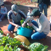 Horta na Escola