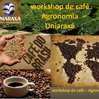 Workshop de Café